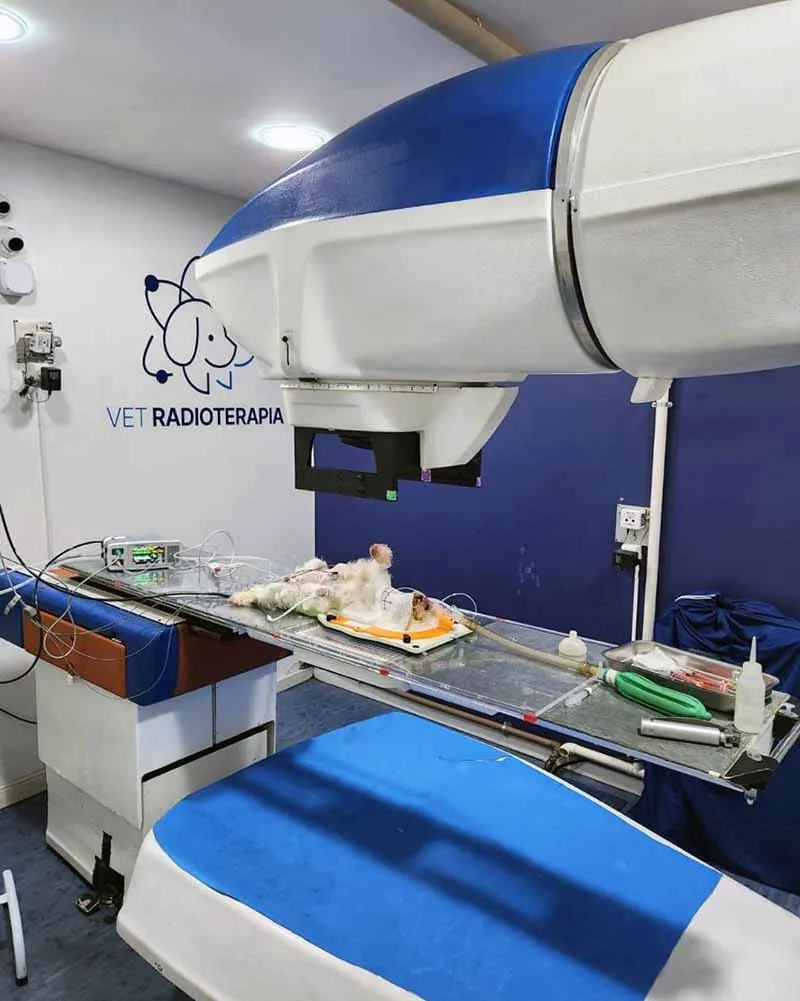 Radioterapia-veterinaria-Vet Radioterapia-RJ-2