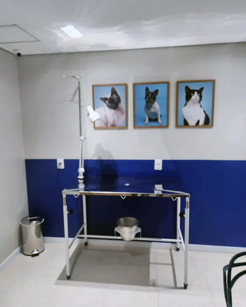 Radioterapia-veterinaria-Vet Radioterapia-RJ-Consultorio-3