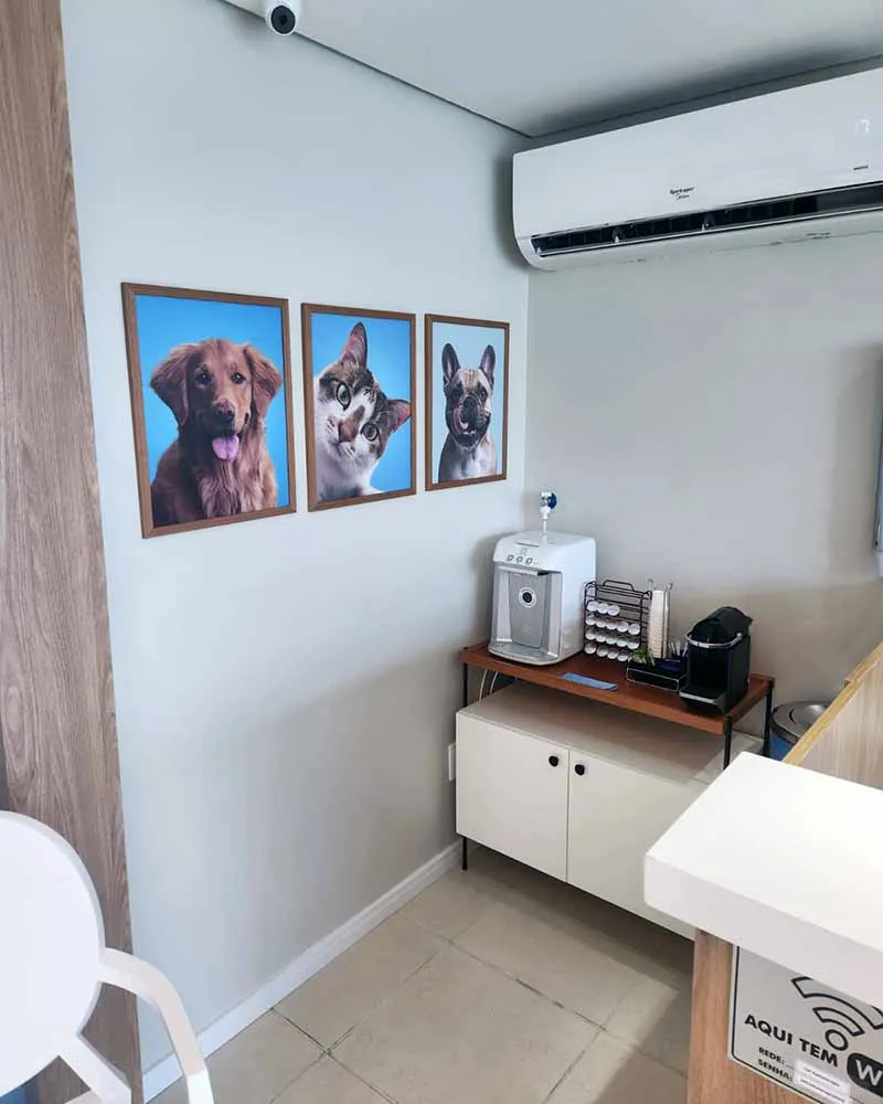Radioterapia-veterinaria-Vet Radioterapia-RJ-Recepcao-3