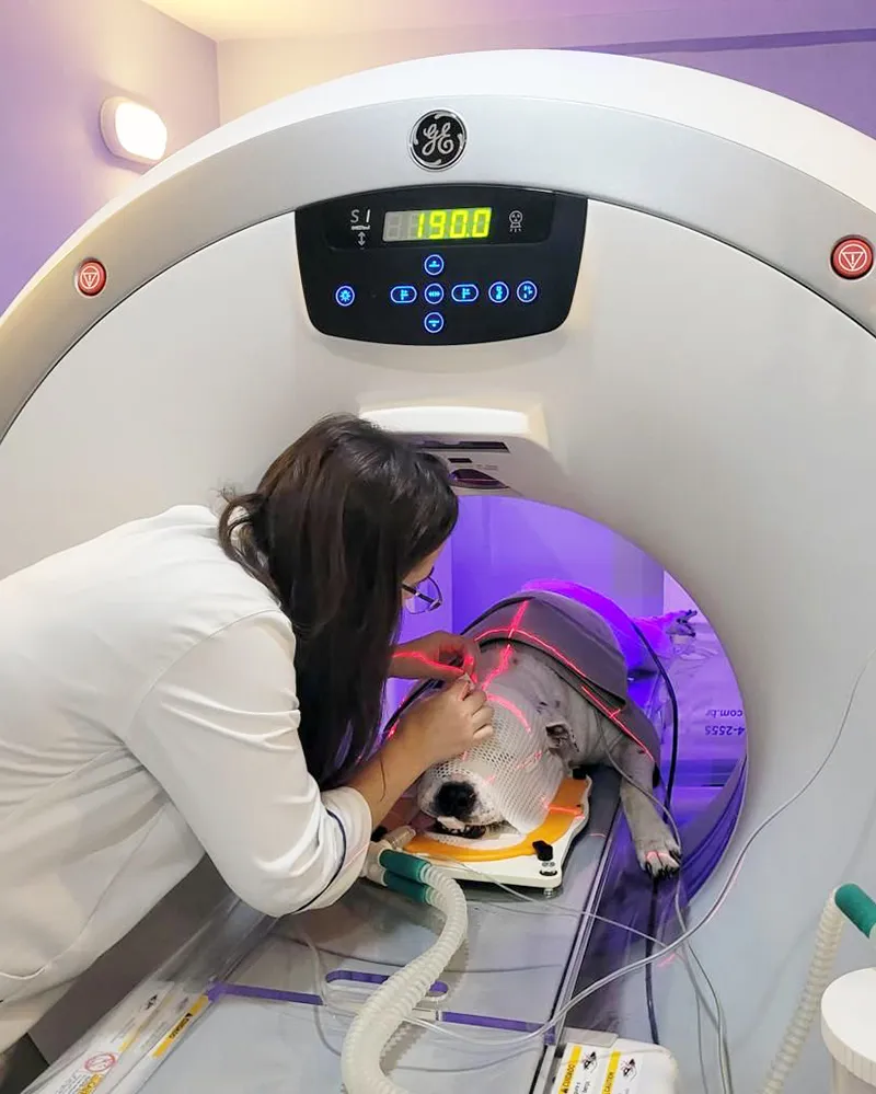 Radioterapia-veterinaria-Vet Radioterapia-RJ-planejamento-2